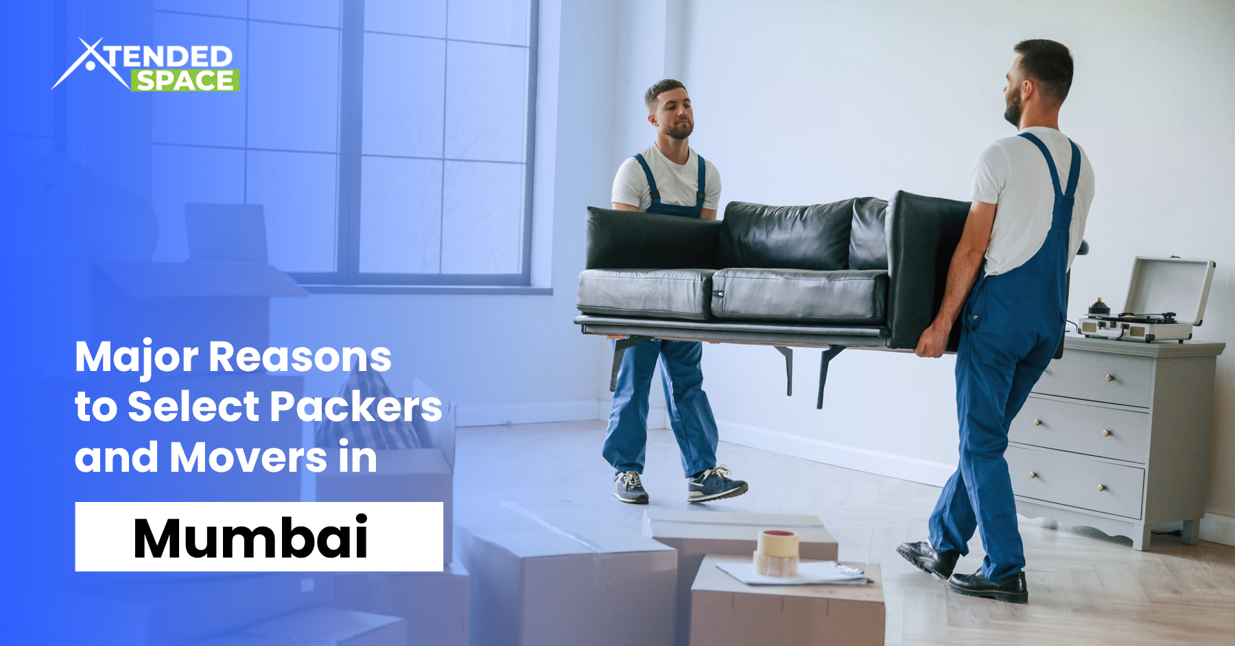 Reasons to Select Packers and Movers in Mumbai