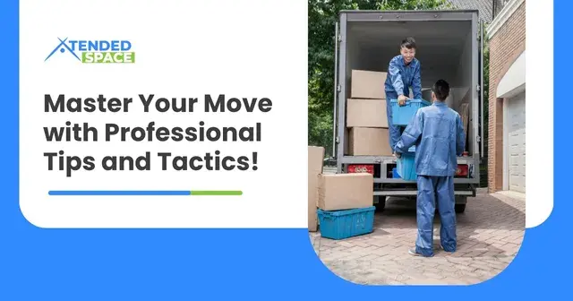 Master Your Move with Professional Tips and Tactics!