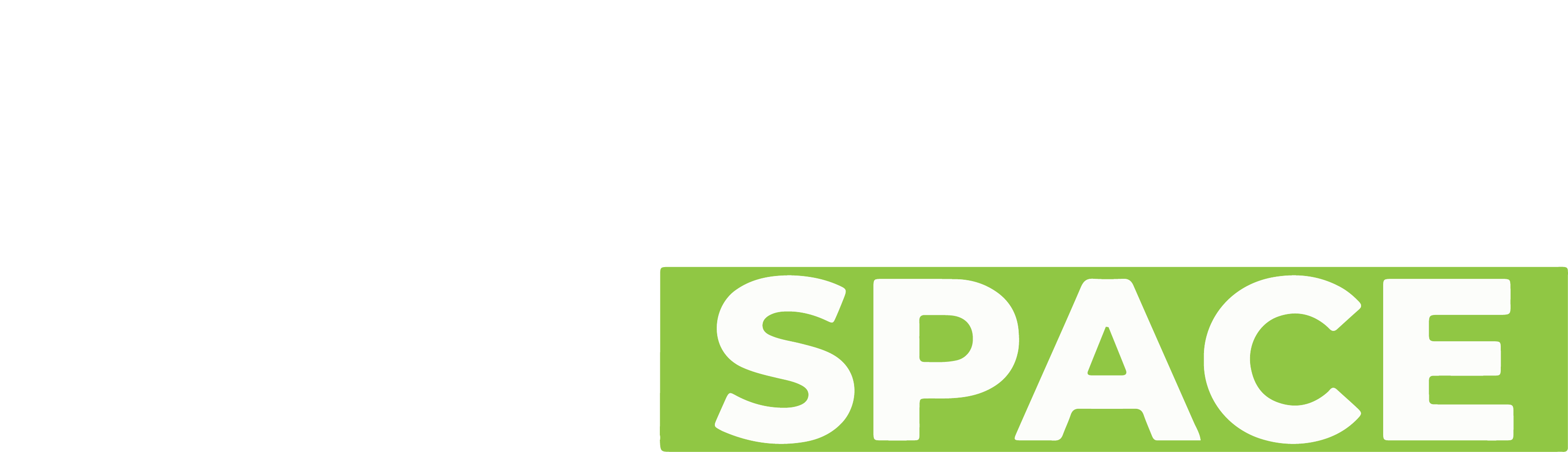 Extended Space Logo